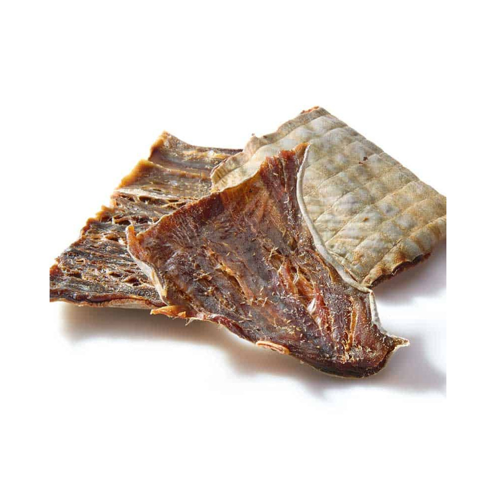 Shark Skin Dental Chews - 100G