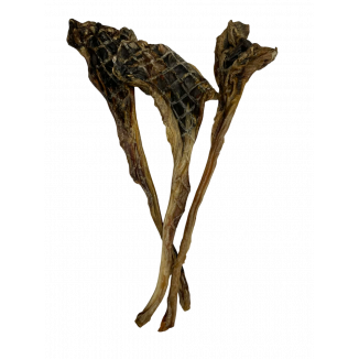 Roo Tendon bulbs x 3