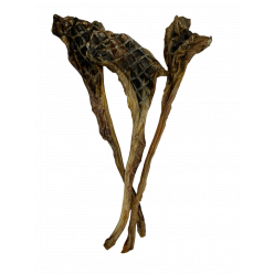 Roo Tendon bulbs x 3