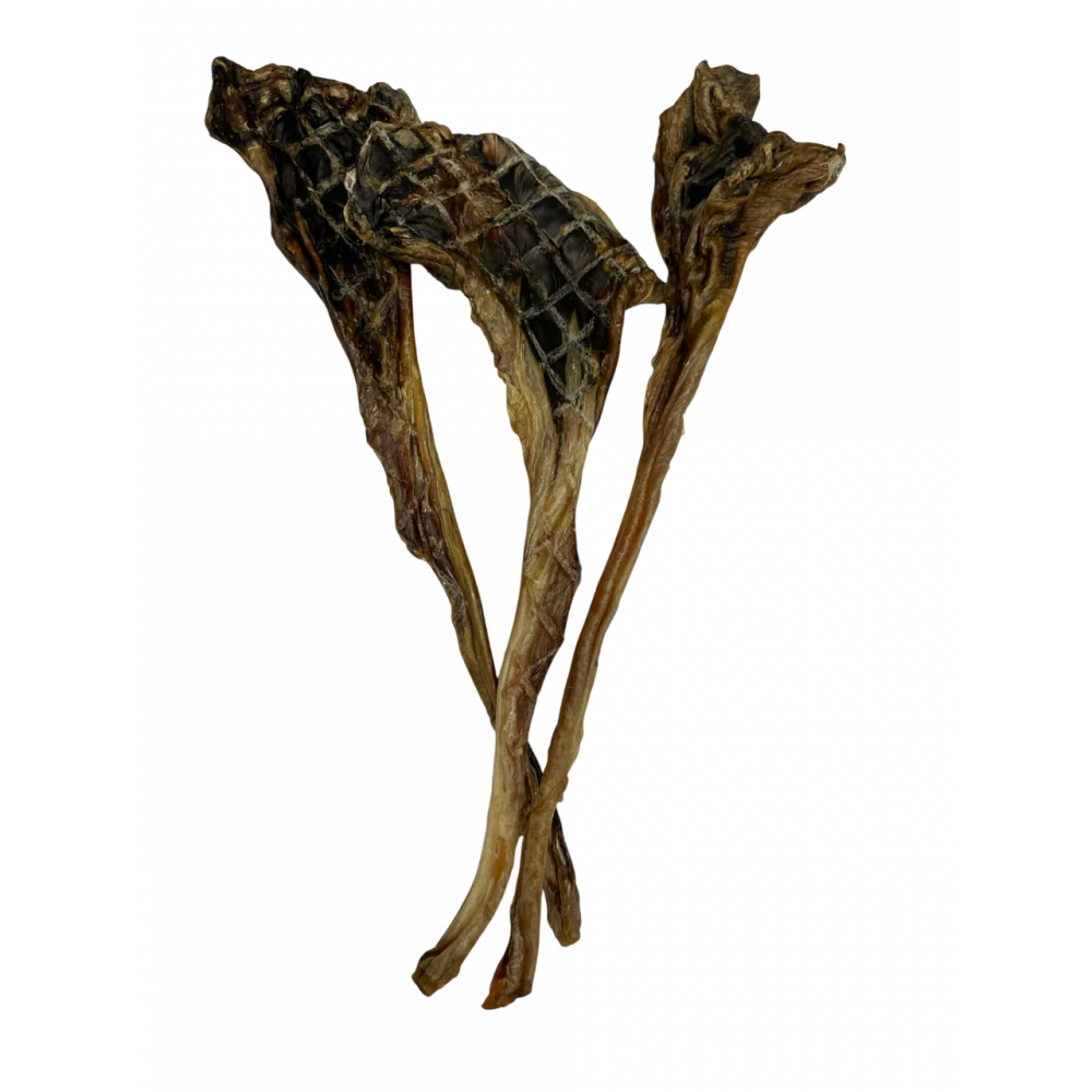 Roo Tendon bulbs x 3