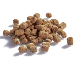 Fish Training Bites - 100G